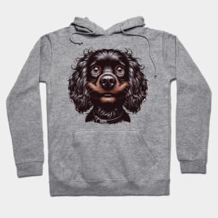 boykin spaniel confused Hoodie